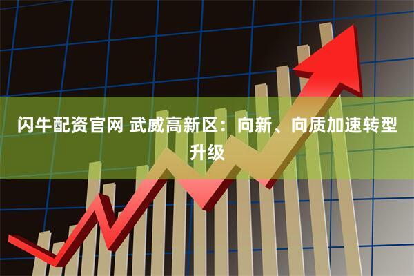 闪牛配资官网 武威高新区：向新、向质加速转型升级