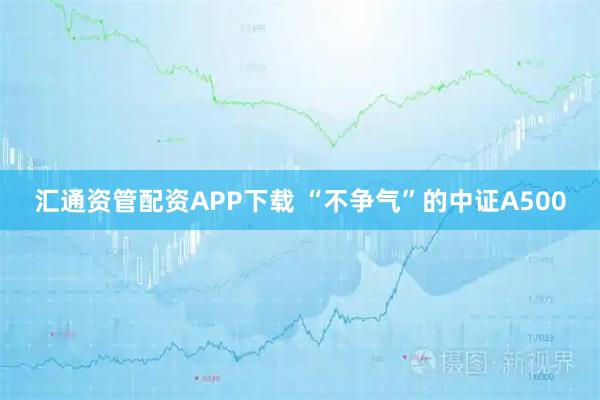 汇通资管配资APP下载 “不争气”的中证A500