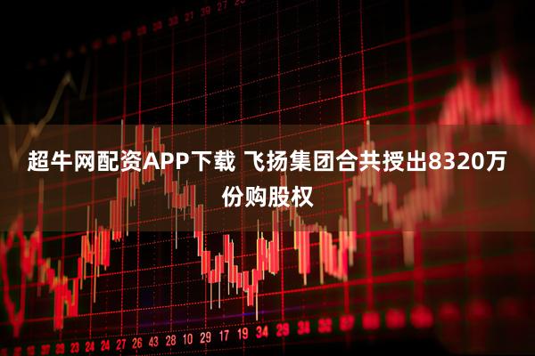 超牛网配资APP下载 飞扬集团合共授出8320万份购股权